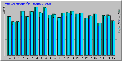 Hourly usage for August 2023