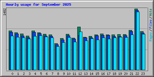 Hourly usage for September 2025