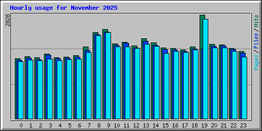Hourly usage for November 2025
