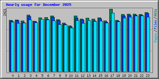Hourly usage for December 2025