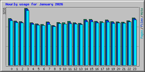 Hourly usage for January 2026