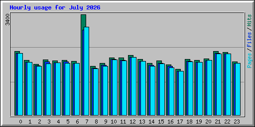 Hourly usage for July 2026