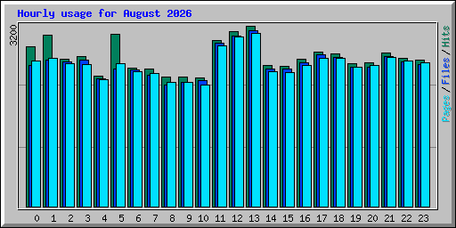 Hourly usage for August 2026