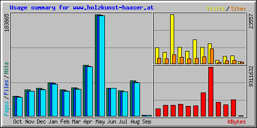 Usage summary for www.holzkunst-haaser.at
